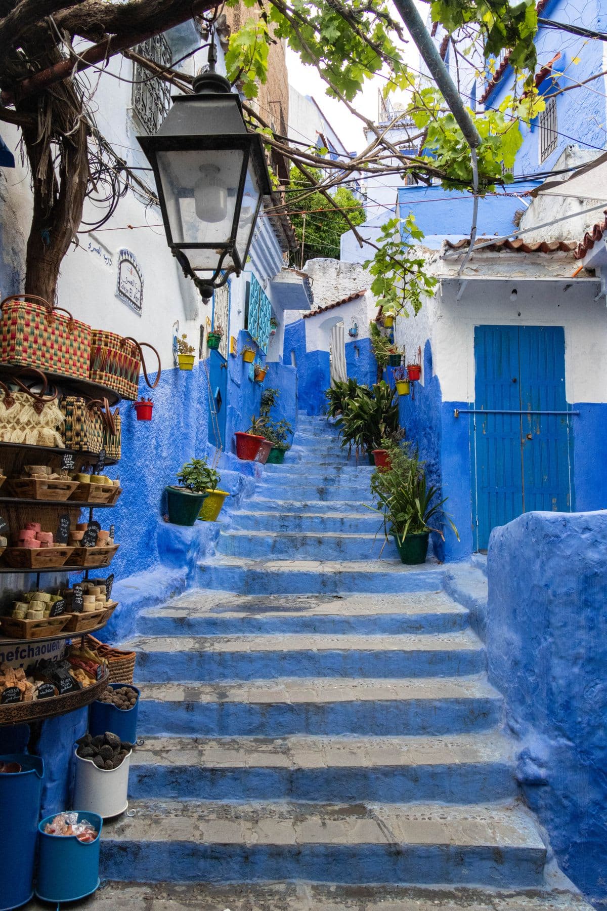 blue-washed steps and alley of Chefchaouen lined with potted plants and a wrought-iron lantern
