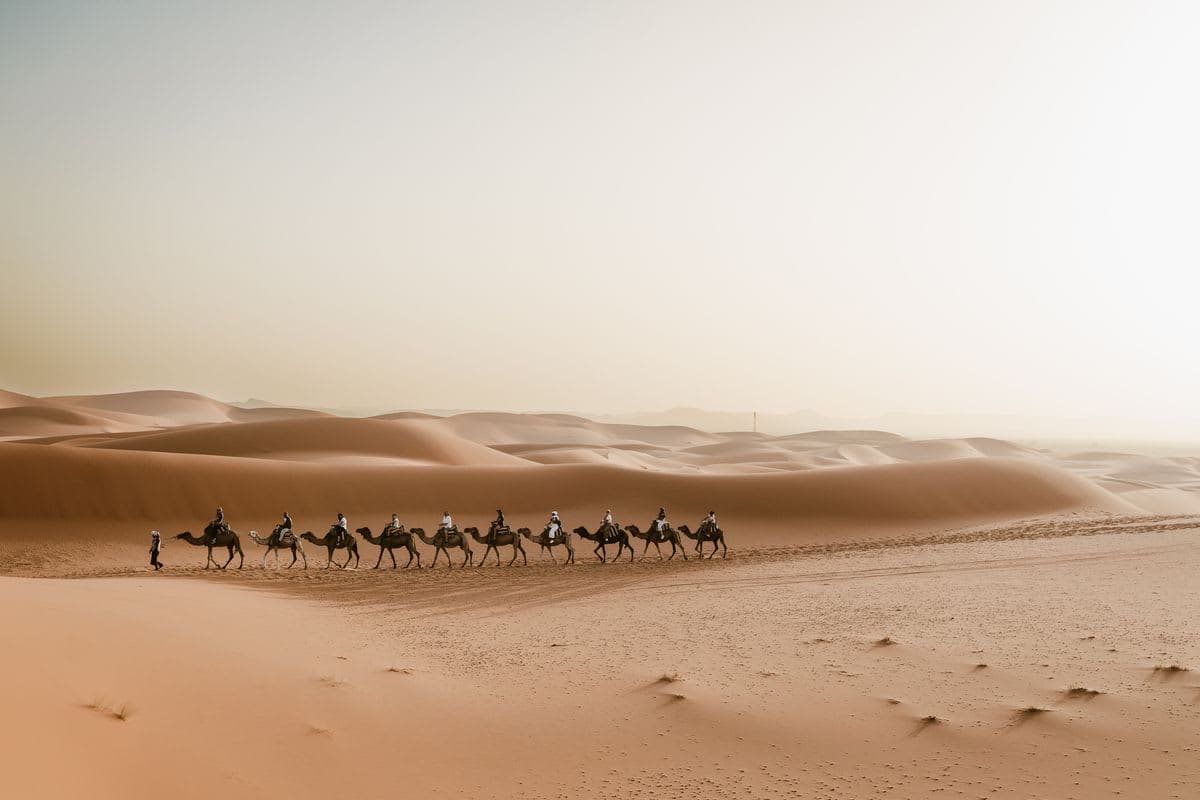 a camel caravan crossing the golden Erg Chebbi dunes near Merzouga in soft desert light